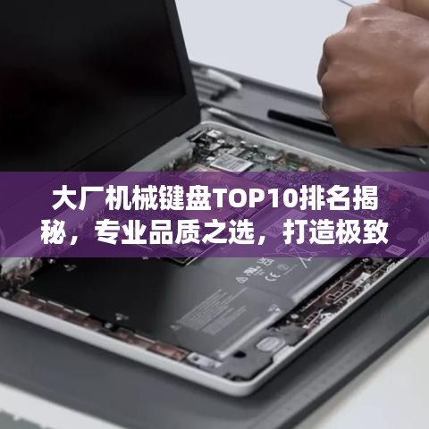 大厂机械键盘TOP10排名揭秘，专业品质之选，打造极致体验