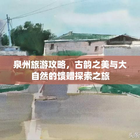 泉州旅游攻略，古韵之美与大自然的馈赠探索之旅