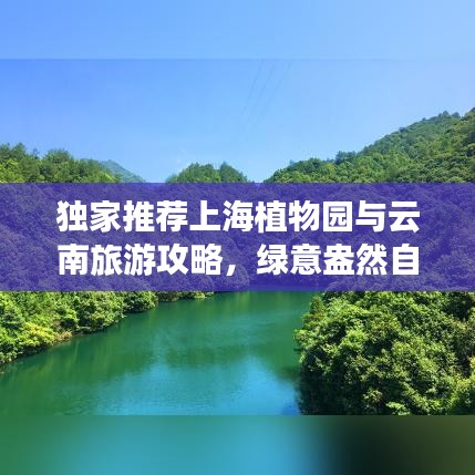 独家推荐上海植物园与云南旅游攻略，绿意盎然自然之旅全解析