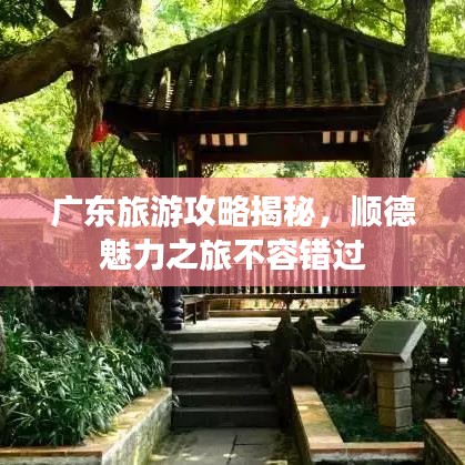 广东旅游攻略揭秘，顺德魅力之旅不容错过