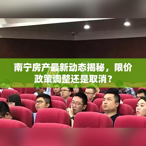 南宁房产最新动态揭秘，限价政策调整还是取消？