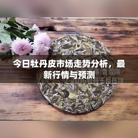 今日牡丹皮市场走势分析，最新行情与预测
