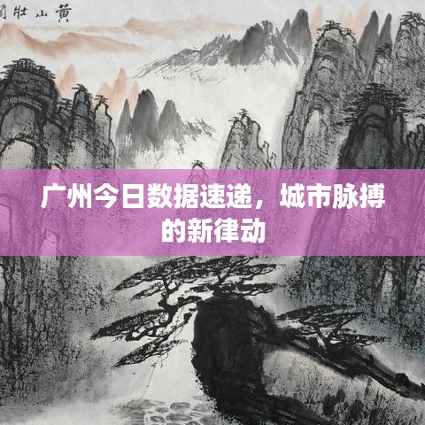 广州今日数据速递，城市脉搏的新律动