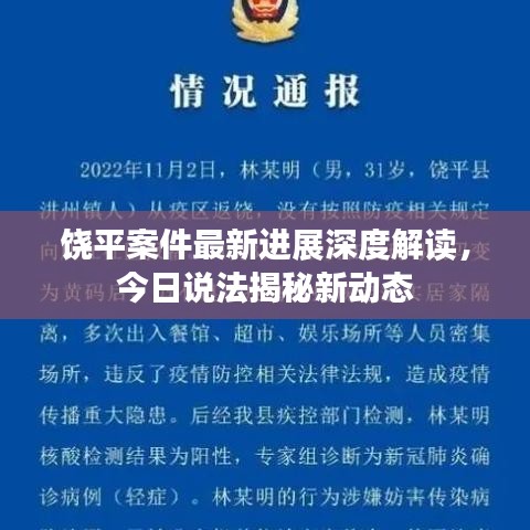 饶平案件最新进展深度解读，今日说法揭秘新动态