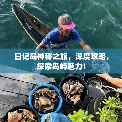 日记岛神秘之旅，深度攻略，探索岛屿魅力！