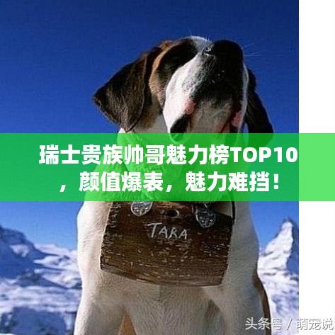 瑞士贵族帅哥魅力榜TOP10，颜值爆表，魅力难挡！