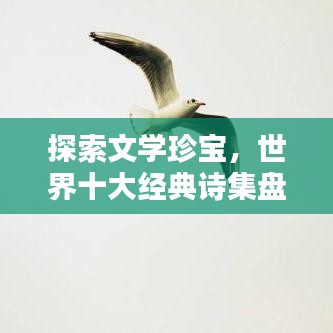 探索文学珍宝，世界十大经典诗集盘点