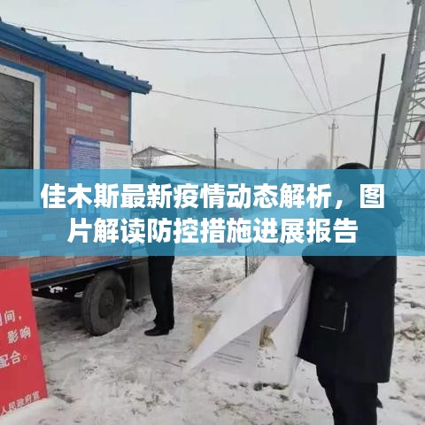 佳木斯最新疫情动态解析，图片解读防控措施进展报告