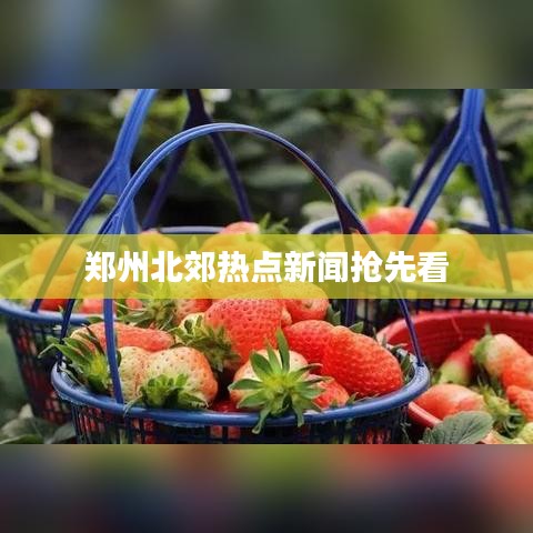 郑州北郊热点新闻抢先看