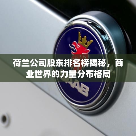 荷兰公司股东排名榜揭秘，商业世界的力量分布格局