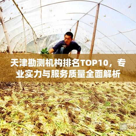 天津勘测机构排名TOP10，专业实力与服务质量全面解析