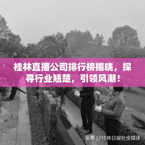 桂林直播公司排行榜揭晓，探寻行业翘楚，引领风潮！