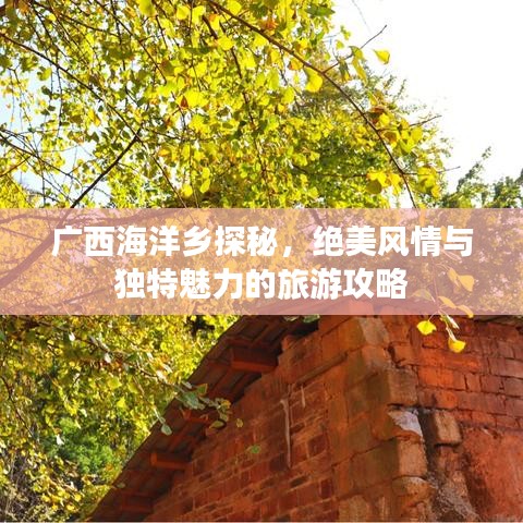 广西海洋乡探秘，绝美风情与独特魅力的旅游攻略