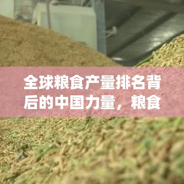 全球粮食产量排名背后的中国力量，粮食产业地位与未来展望