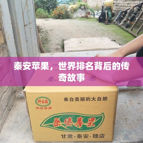 秦安苹果，世界排名背后的传奇故事