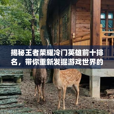 揭秘王者荣耀冷门英雄前十排名，带你重新发掘游戏世界的隐藏宝藏！