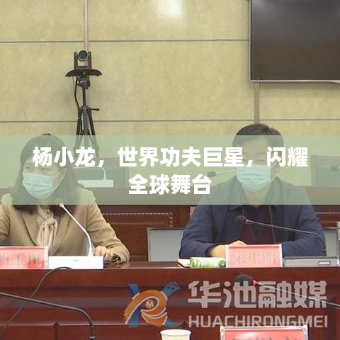 杨小龙，世界功夫巨星，闪耀全球舞台