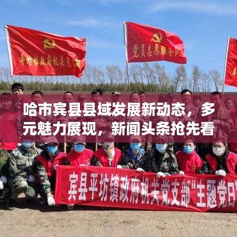 哈市宾县县域发展新动态，多元魅力展现，新闻头条抢先看