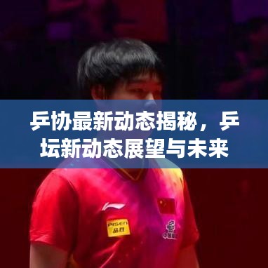 乒协最新动态揭秘，乒坛新动态展望与未来发展趋势速递