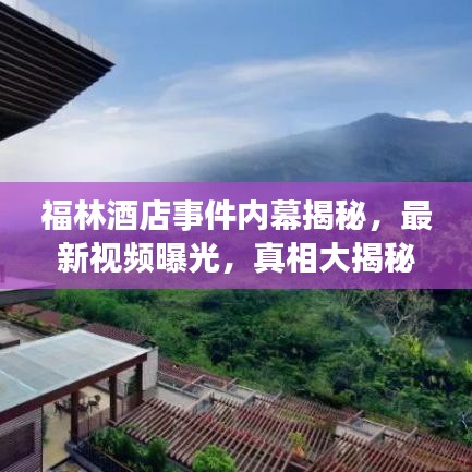 福林酒店事件内幕揭秘，最新视频曝光，真相大揭秘