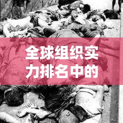 全球组织实力排名中的中国地位分析