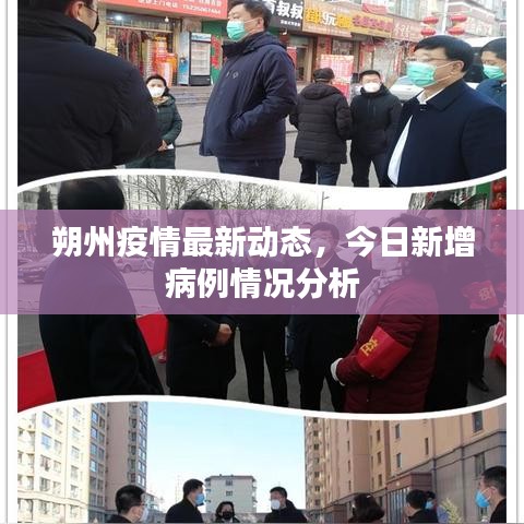朔州疫情最新动态，今日新增病例情况分析