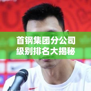 首钢集团分公司级别排名大揭秘！
