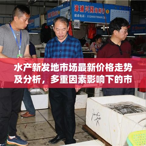 水产新发地市场最新价格走势及分析，多重因素影响下的市场趋势解析
