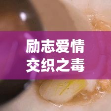 励志爱情交织之毒鸡汤语录触动心灵深处