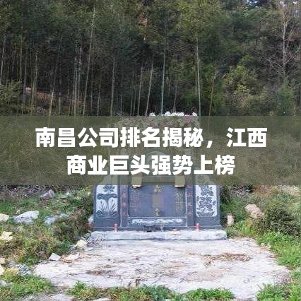 南昌公司排名揭秘，江西商业巨头强势上榜
