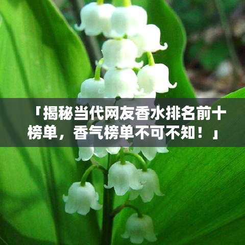 「揭秘当代网友香水排名前十榜单，香气榜单不可不知！」