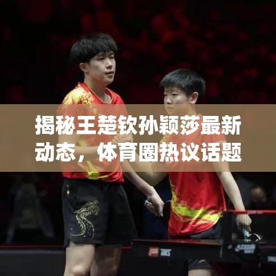 揭秘王楚钦孙颖莎最新动态，体育圈热议话题重磅来袭！