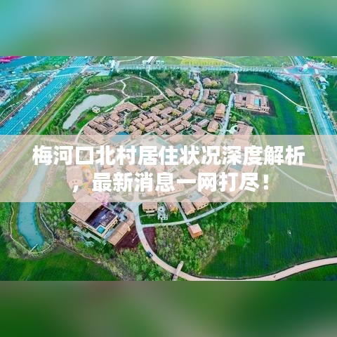 2025年6月30日 第37页