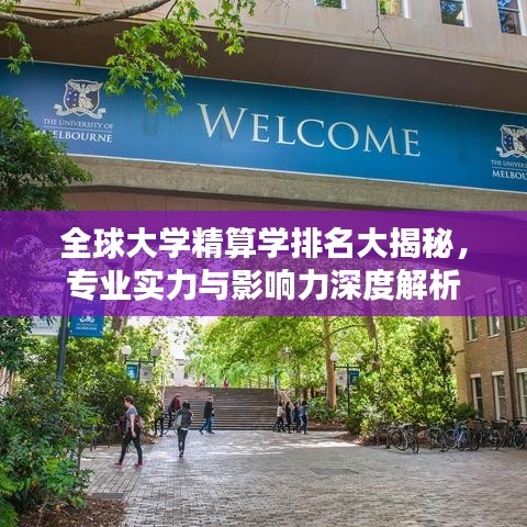 全球大学精算学排名大揭秘，专业实力与影响力深度解析