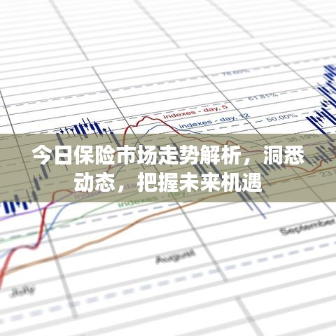 今日保险市场走势解析，洞悉动态，把握未来机遇