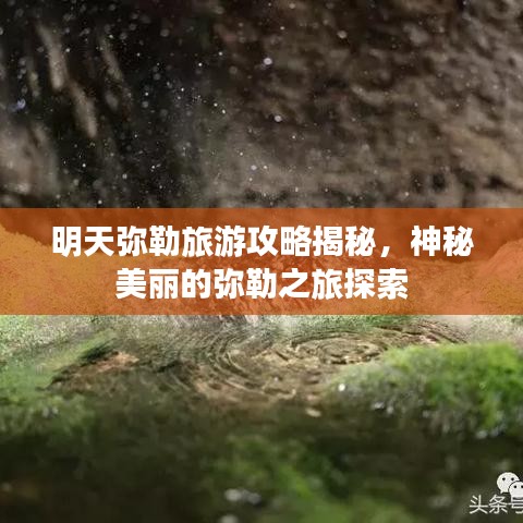 2025年6月30日 第9页