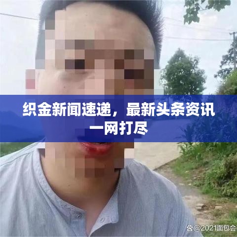 织金新闻速递，最新头条资讯一网打尽