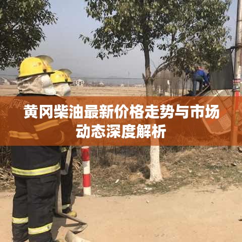 黄冈柴油最新价格走势与市场动态深度解析