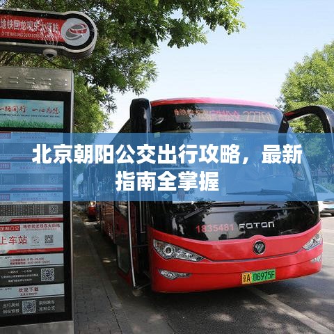 北京朝阳公交出行攻略，最新指南全掌握
