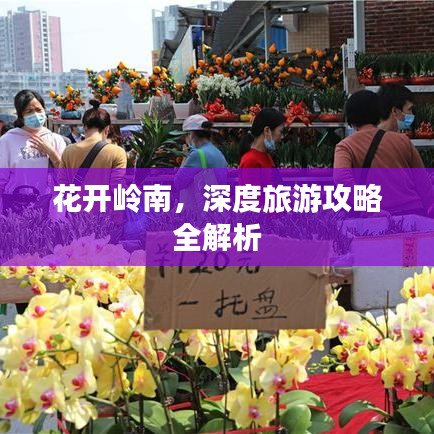 花开岭南，深度旅游攻略全解析