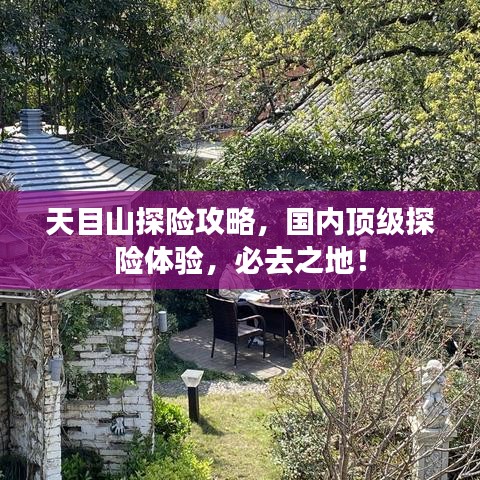 天目山探险攻略，国内顶级探险体验，必去之地！