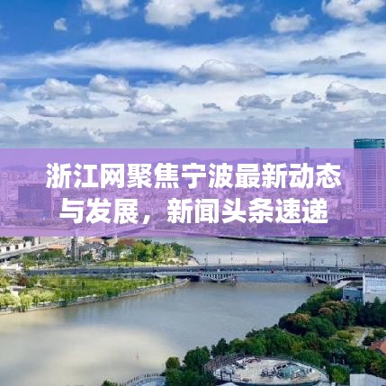 浙江网聚焦宁波最新动态与发展，新闻头条速递