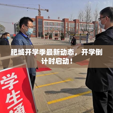 肥城开学季最新动态，开学倒计时启动！