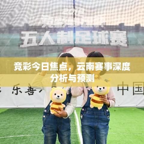 竞彩今日焦点，云南赛事深度分析与预测