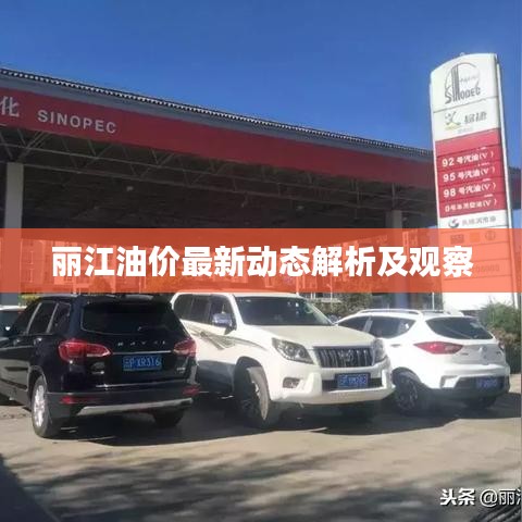 丽江油价最新动态解析及观察