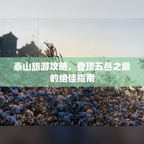 泰山旅游攻略，登顶五岳之巅的绝佳指南