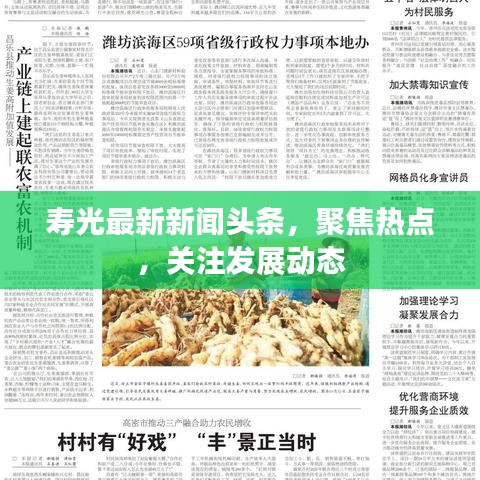 寿光最新新闻头条，聚焦热点，关注发展动态