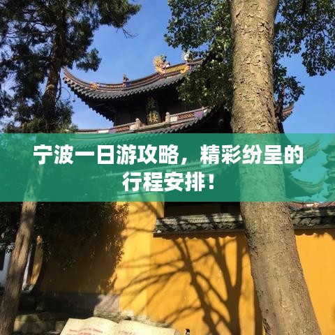 宁波一日游攻略，精彩纷呈的行程安排！