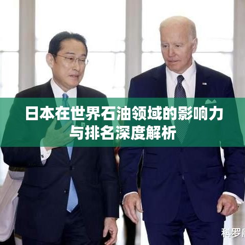 日本在世界石油领域的影响力与排名深度解析