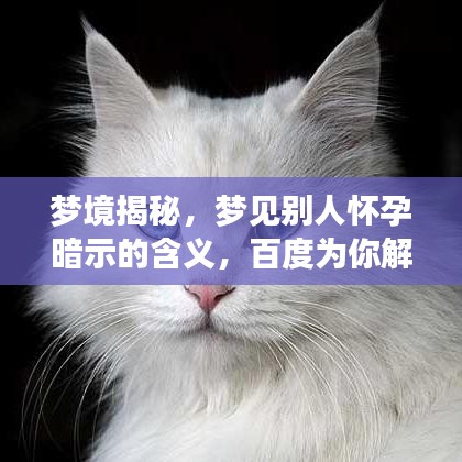梦境揭秘，梦见别人怀孕暗示的含义，百度为你解读